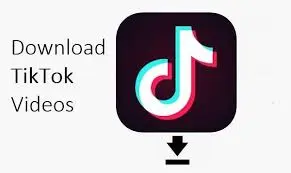 TikTok Video Downloader